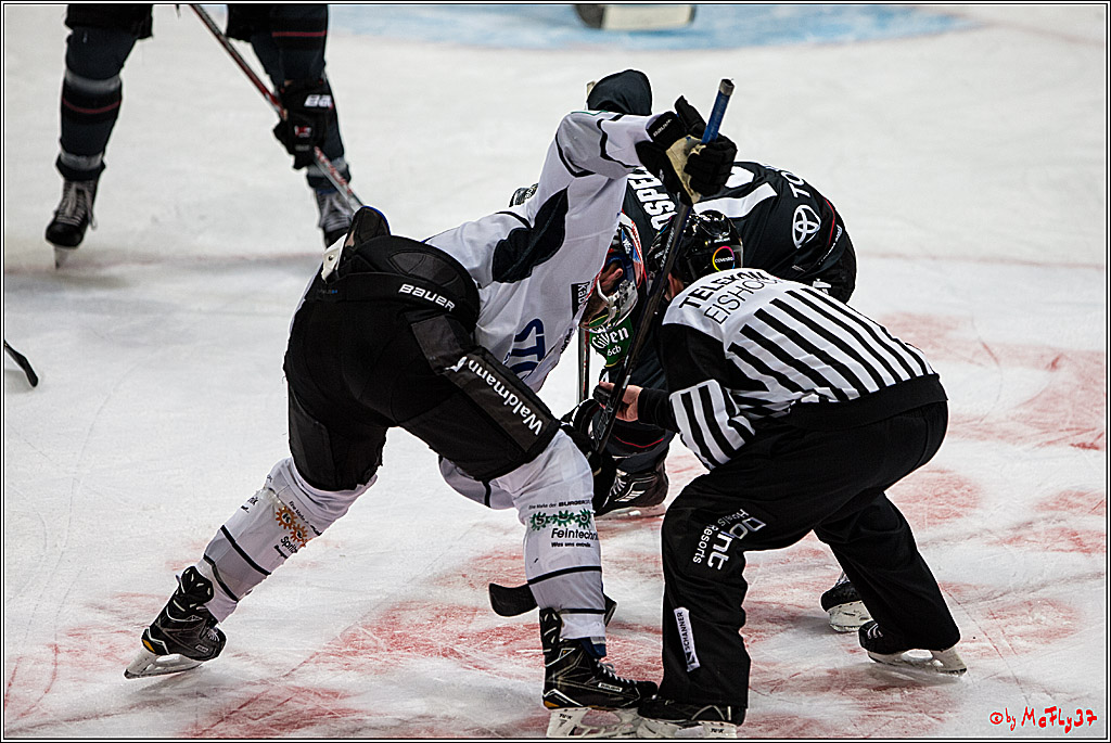 Koelner Haie - Schwenninger Wild Wings, 11.12.2016